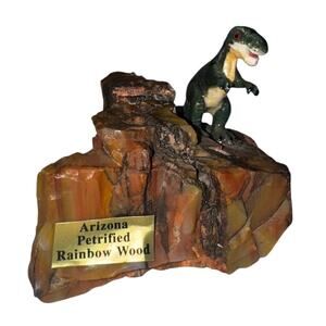 Arizona Petrified Rainbow Wood Display Dinosaur Figure Small Fossil Stone Decor